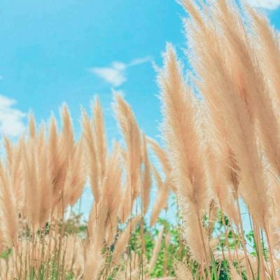 云中漫步vr破解版下载